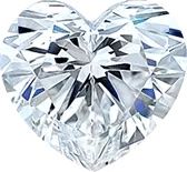 whatsapp image 2026 02 15 at 16.29.43 (1)